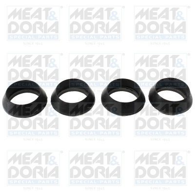 Seal Ring, injector